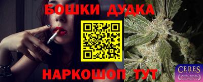 альфа пвп Заводоуковск