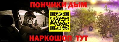 альфа пвп Заводоуковск