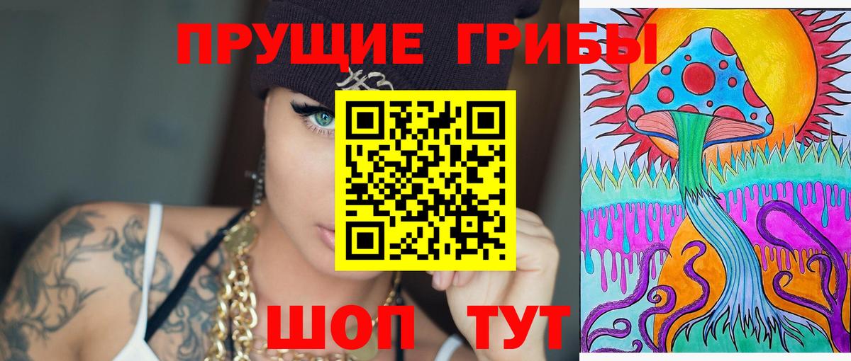 Галлюциногенные грибы Psilocybine cubensis  Вход с VPN  Буйнакск 