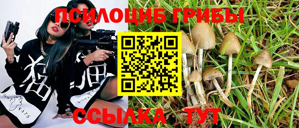 Галлюциногенные грибы ЛСД Буйнакск