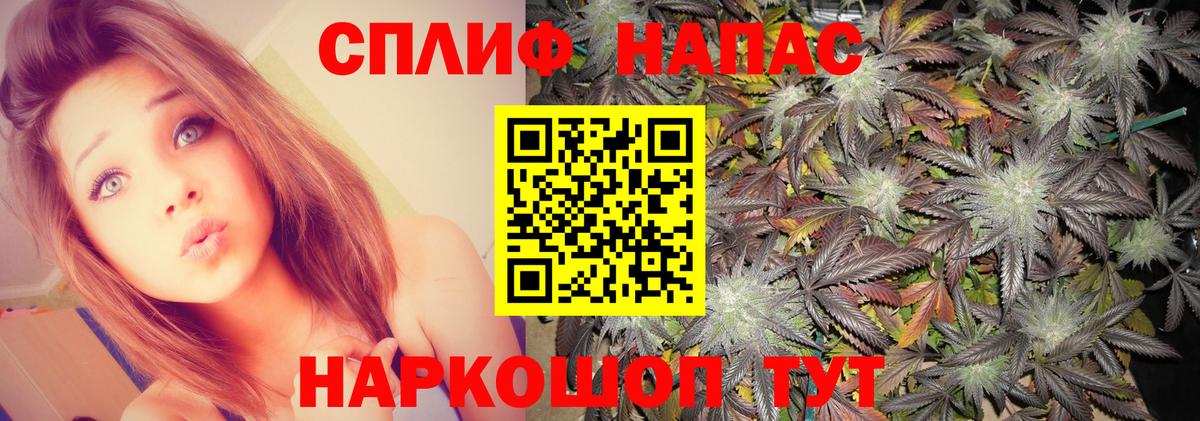 Марихуана семена Буйнакск
